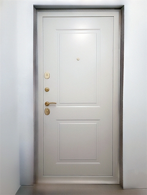 Стальная дверь в квартиру Стальная дверь в квартиру